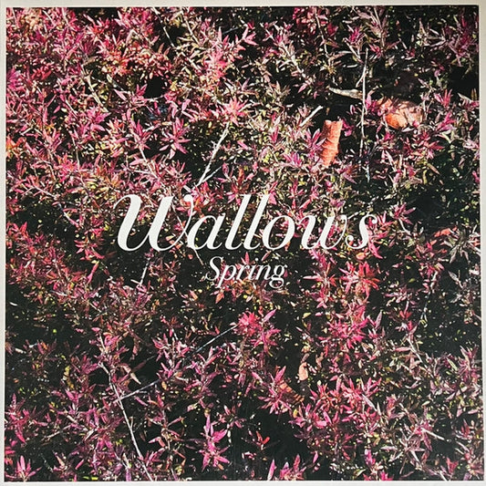 Wallows – Spring (E/E)