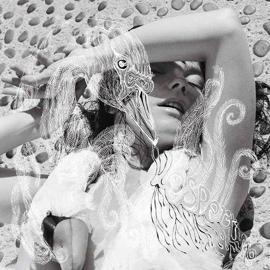 Björk – Vespertine (2xLP)