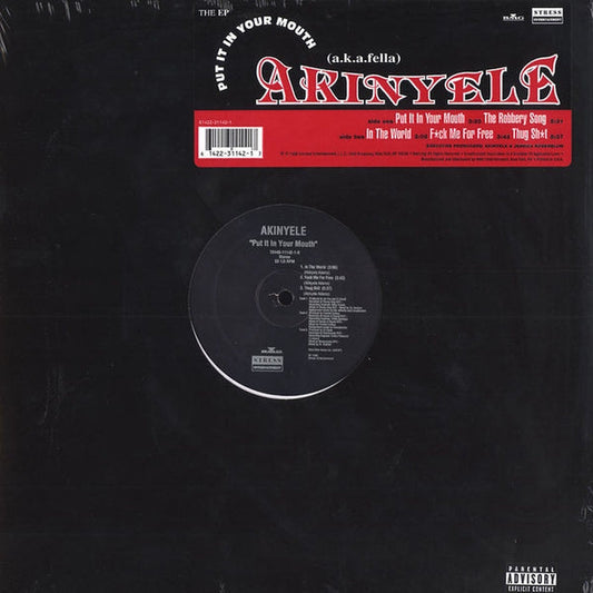 Akinyele – Put It In Your Mouth (VG+/Generic)