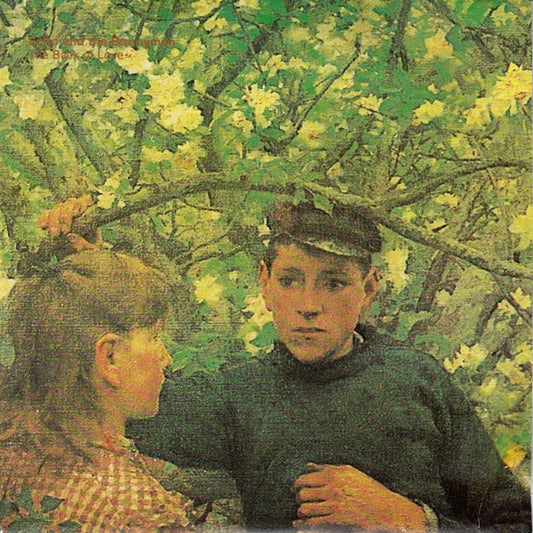 Echo & The Bunnymen – The Back Of Love (VG+/VG+)